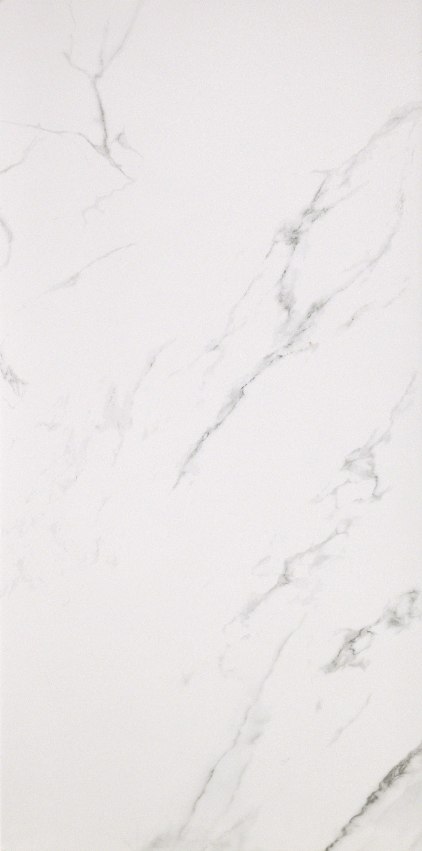 Marmoker Lucido Statuario Grigio 59x118 Casalgrande Padana