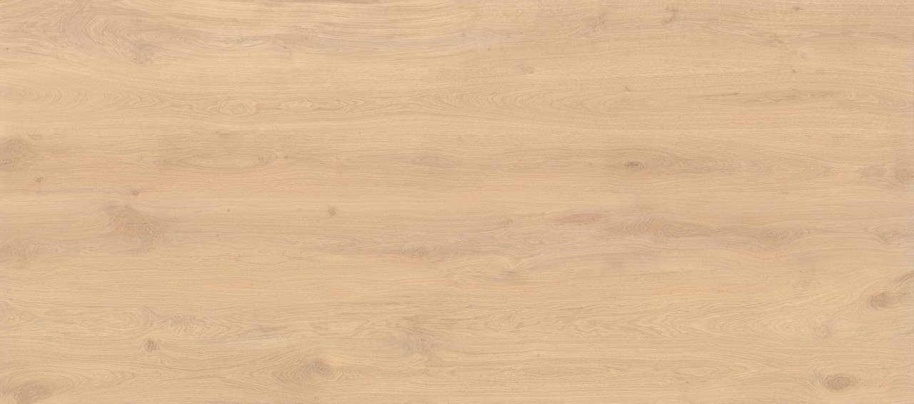 AX28 Log Bright Oak Matte 6mm 120x278 Atlas Concorde
