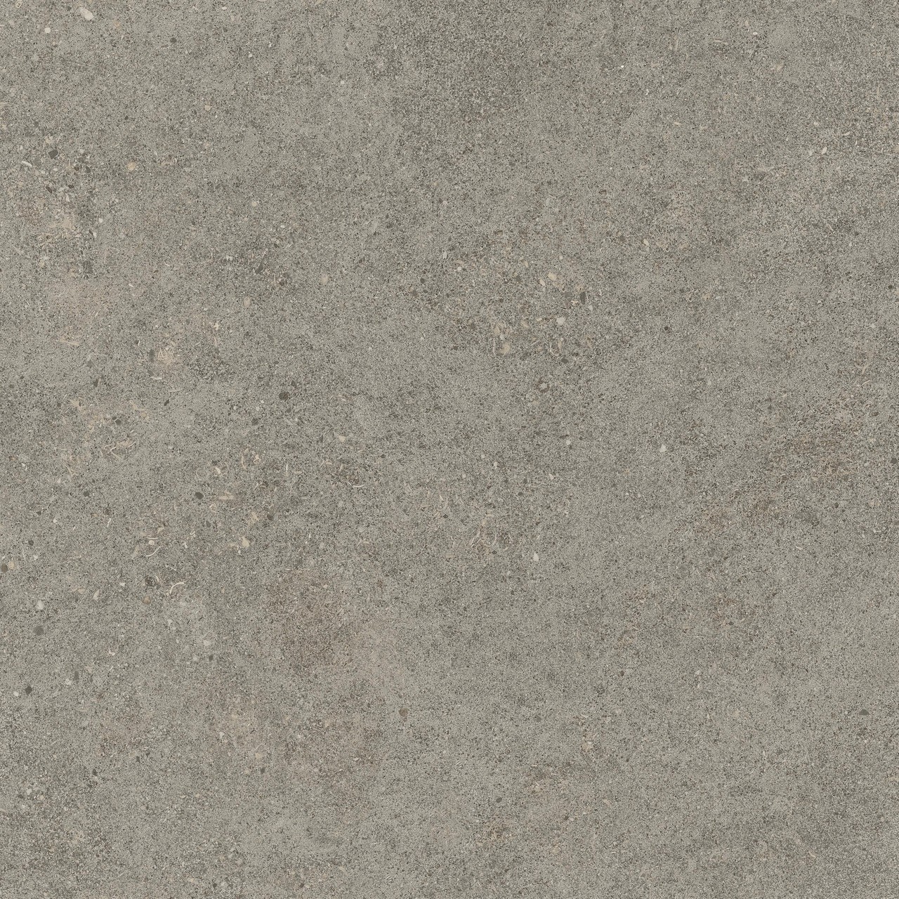 610010005836 Forte dei Marmi Rock Lunar Grey Lastra 20mm 60x60 Atlas Concorde Russia