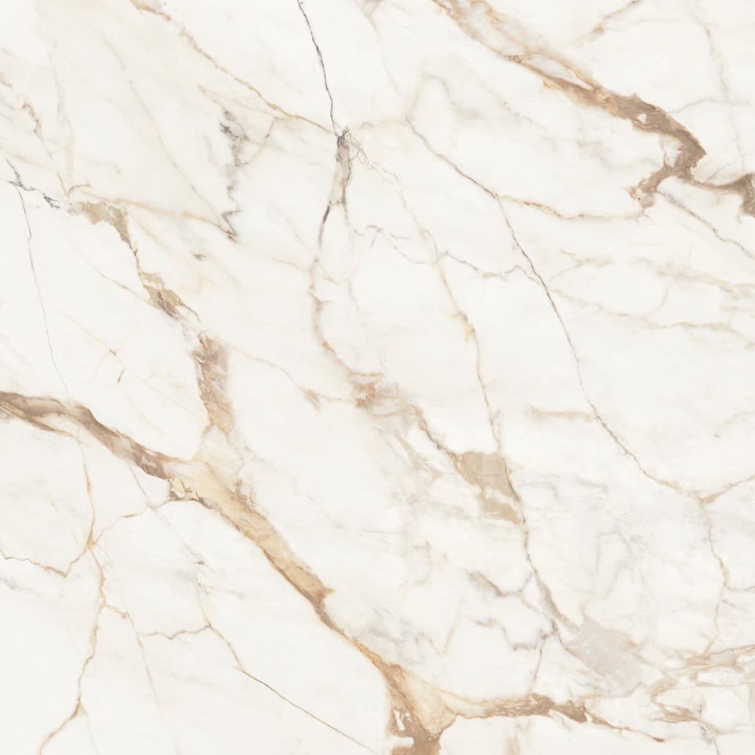 C221101881 Xlight Premium 120x120 Calacatta Gold Polished Urbatek