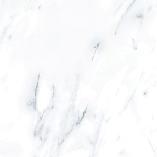 G283МR Payer Grey 60x60 Гранитея