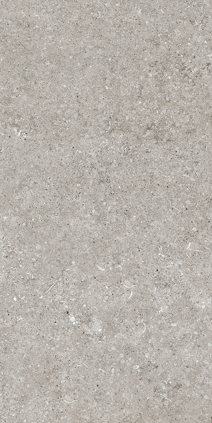 768342 Sensi Grey Fossil Ret 40x80 Casa Dolce Casa