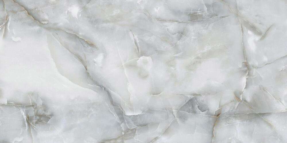 PR228 Marvel Onix Grey Polished 60x120 PrimaVera