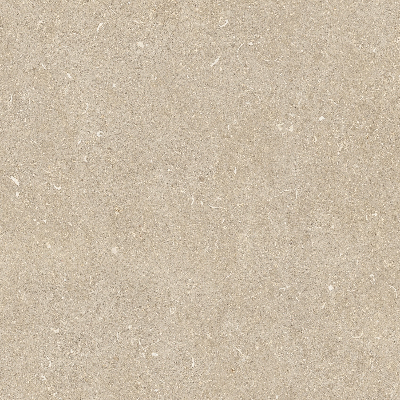 785485 Rinascenza Arena Conchiglia Matte 60x60 Casa Dolce Casa фото 2