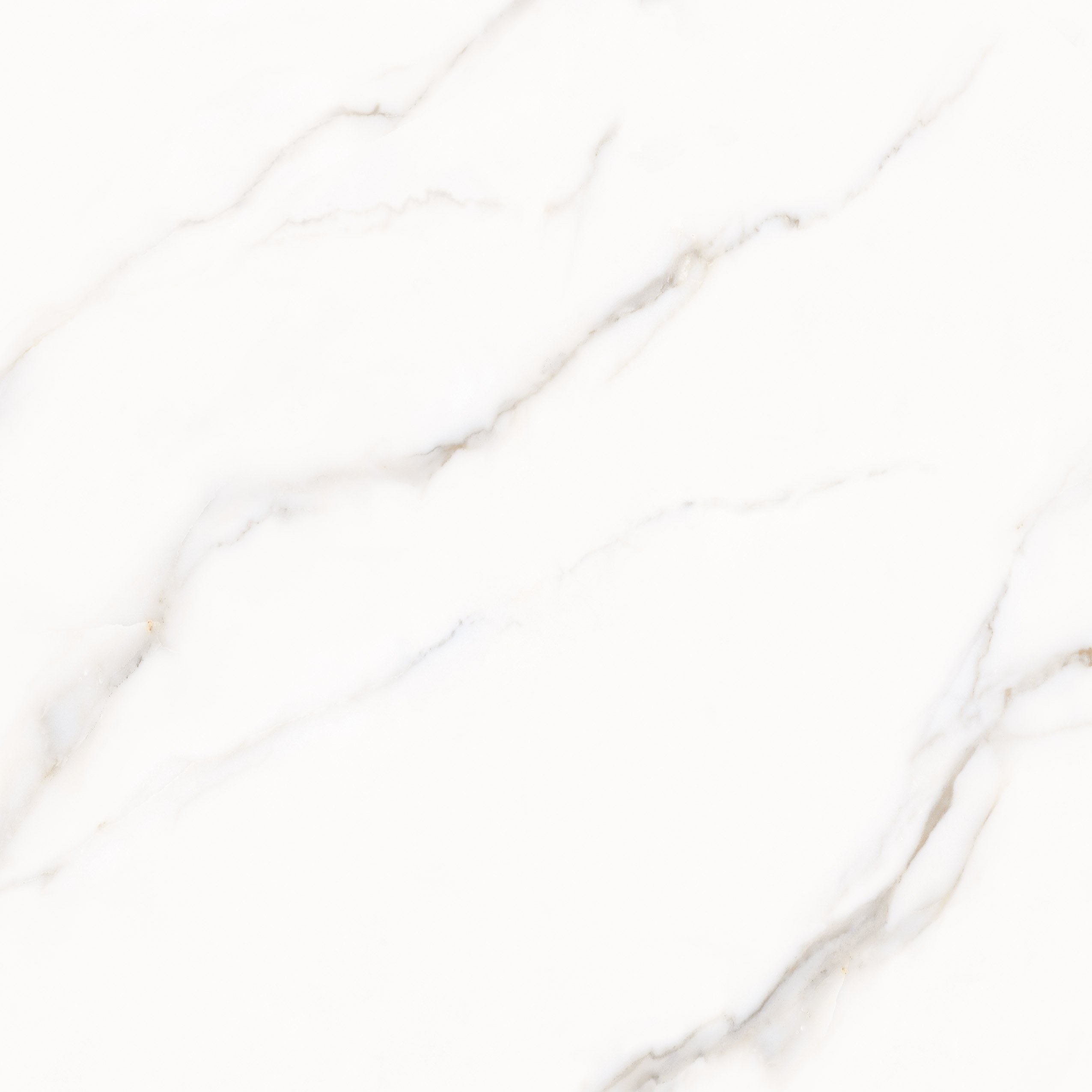 Tokyo White PGVT 120x120 Casati Ceramica