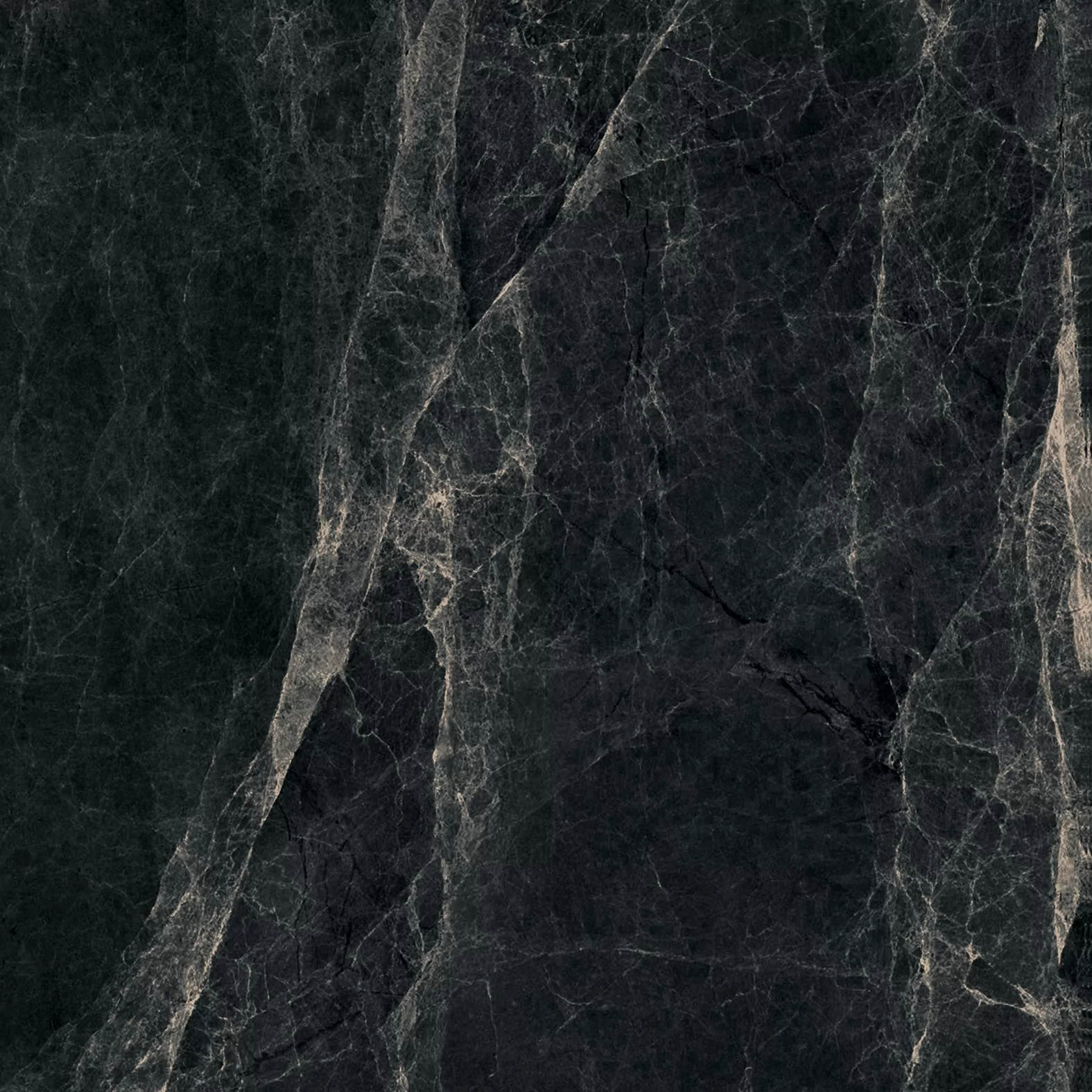 Worner Black sugar lapp. 60x60 Bluezone фото 15