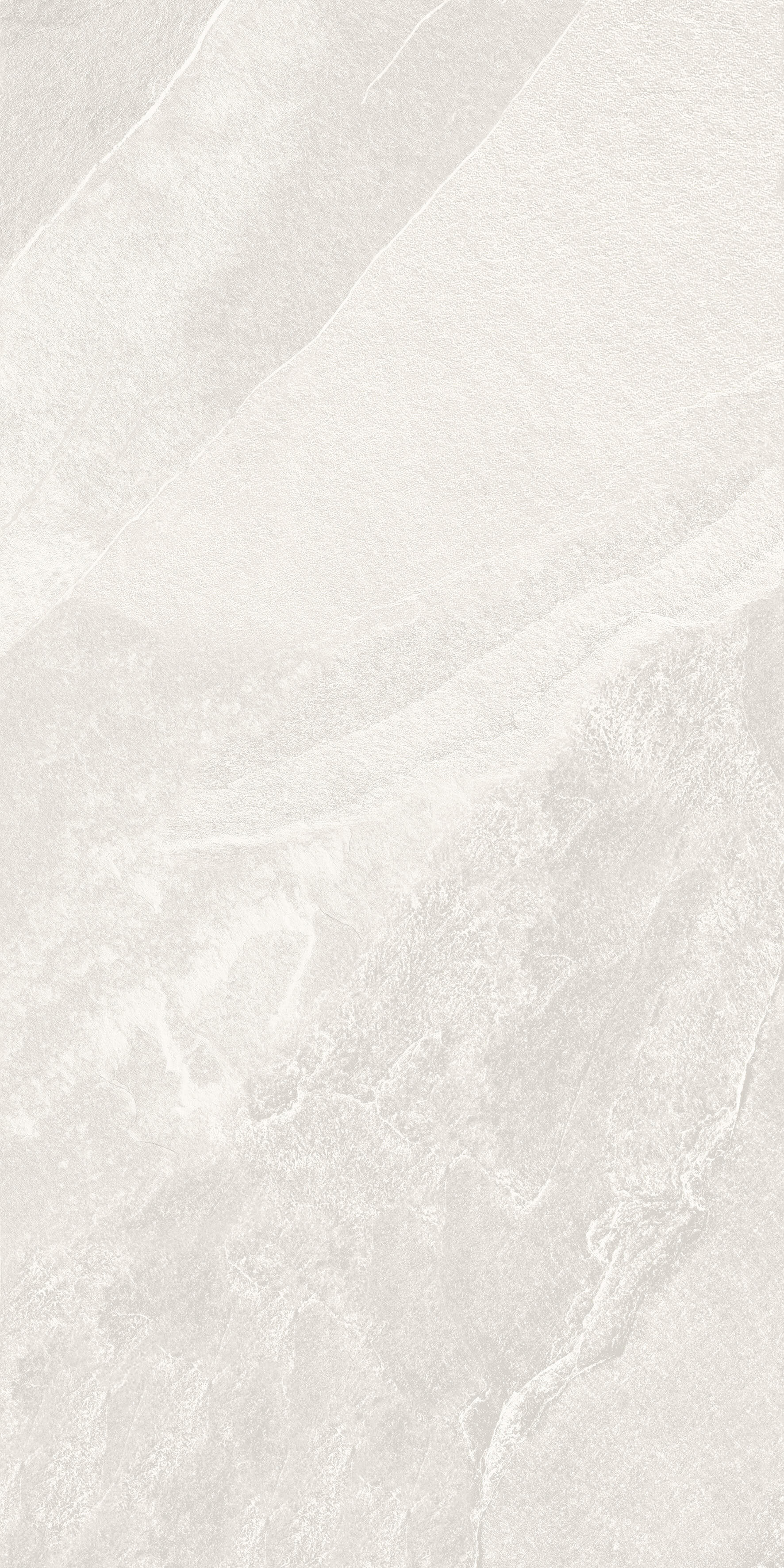 1206 Calcare White Matt 120x60 Artcer фото 6