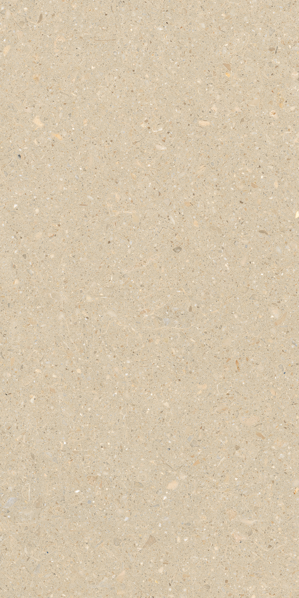 Венециан Террацо Грис Бейс Люкс Матт 60х120 Duna фото 3