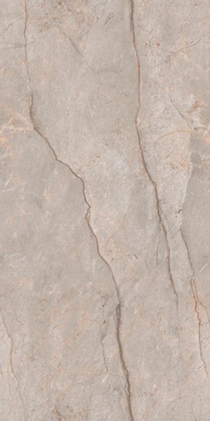 Monaco Grey carving 60x120 Leopard