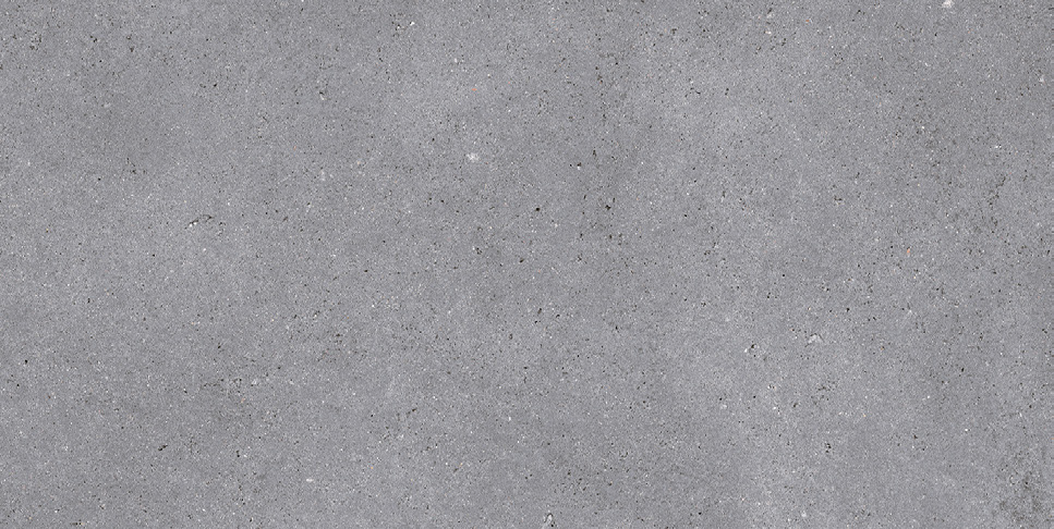 NR210 Nemo Grey 60x120 PrimaVera