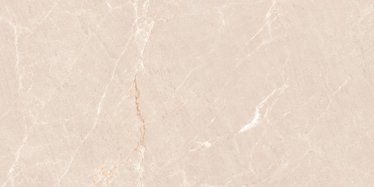 N20554 Persian Beige Matt 60x120 Neodom