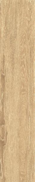 ZC 1023058 rect.. 20x100 Bonaparte