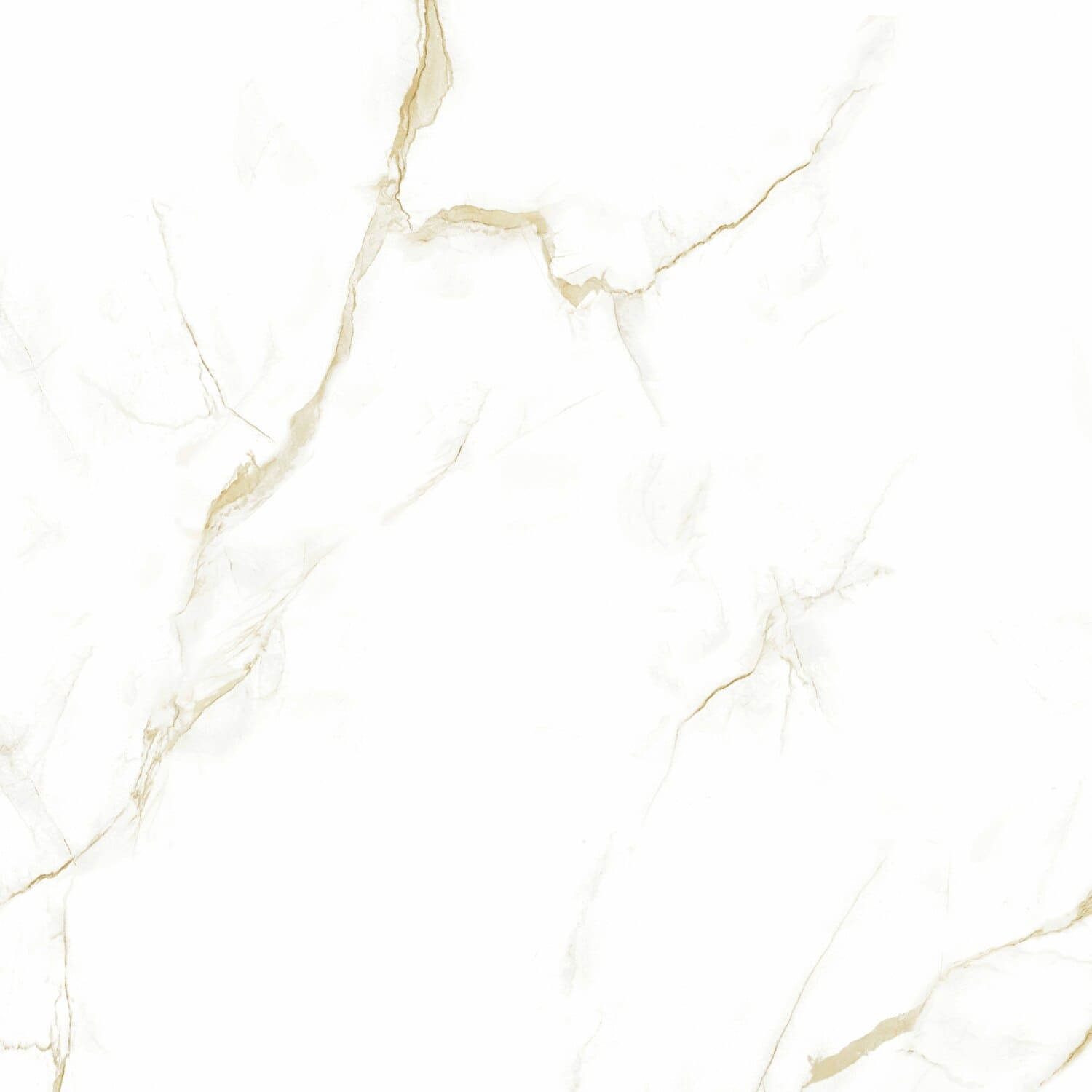 16604 Helion Polished 8mm 60x60 Pardis Ceramic Pazh