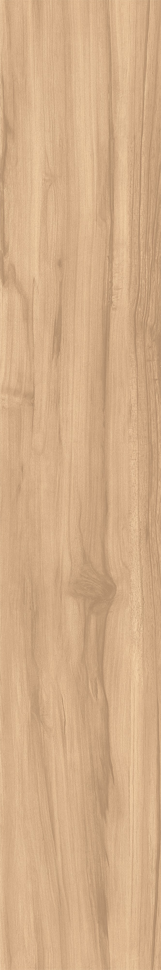 CW-RT09-B Fossil Wood Brich Rustic 20x120 Creanza