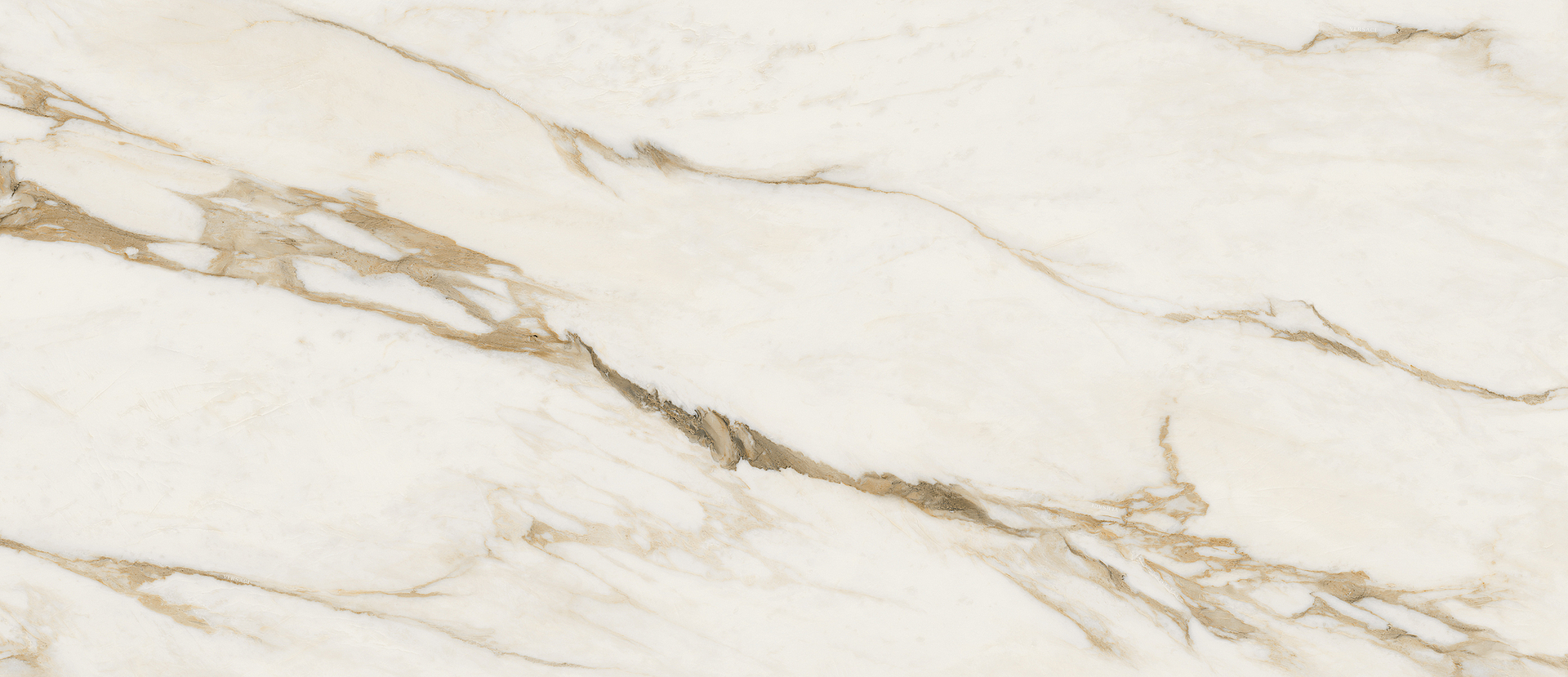 G67502 Calacatta Bright Lux R 120x280 Versace (Gardenia Orchidea) фото 3
