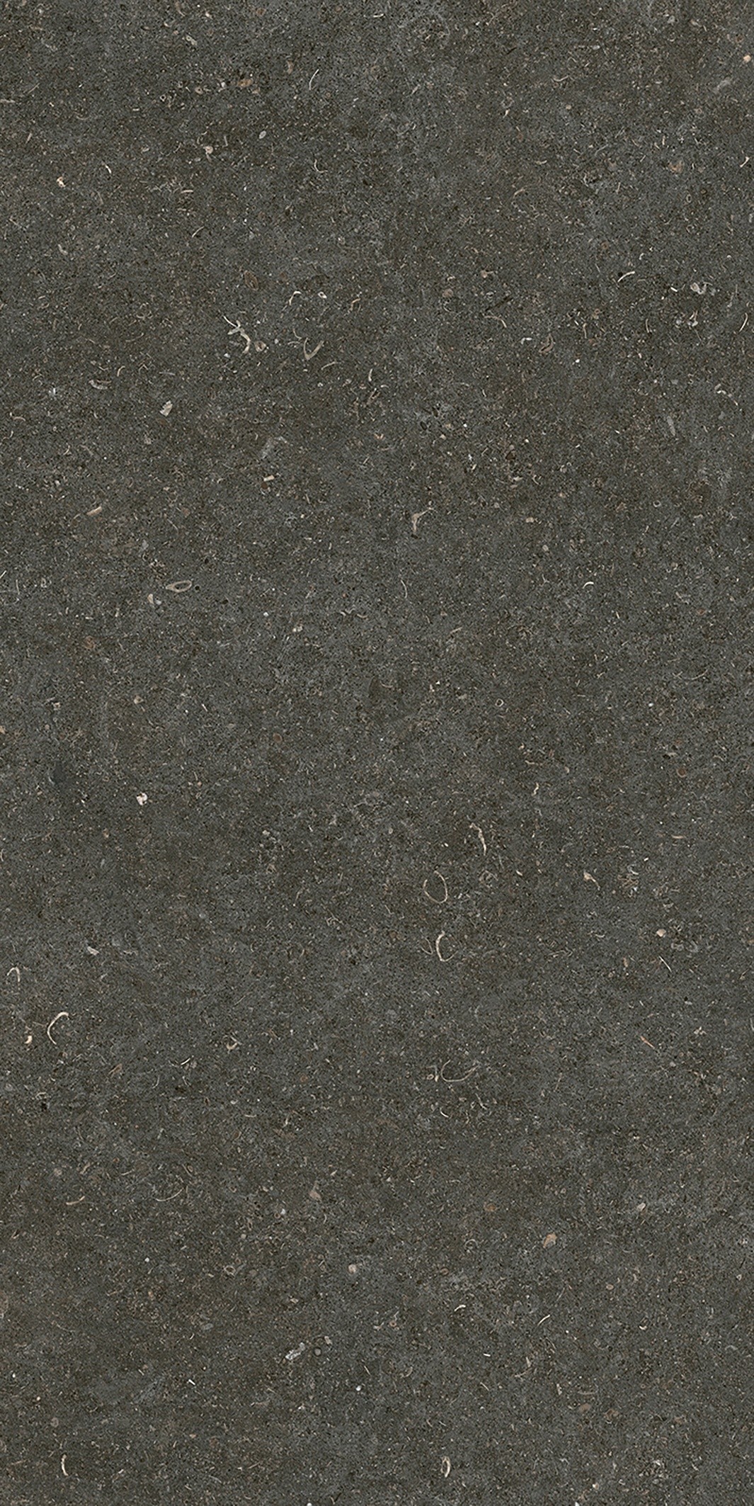 785577 Rinascenza Arena Platino Matte 6mm 60x120 Casa Dolce Casa фото 8