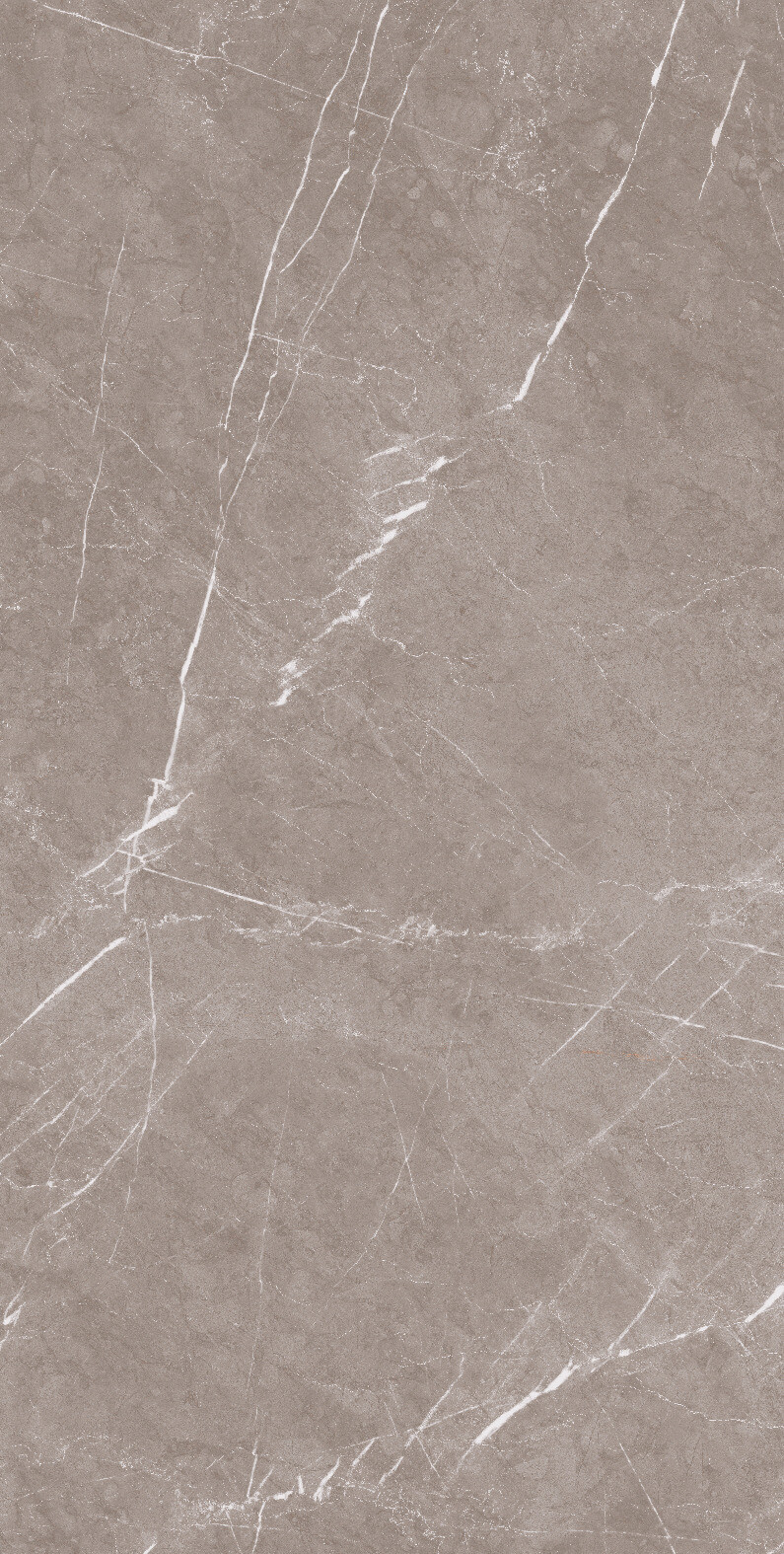 1070 Monte Taupe Carv 120x60 Artcer