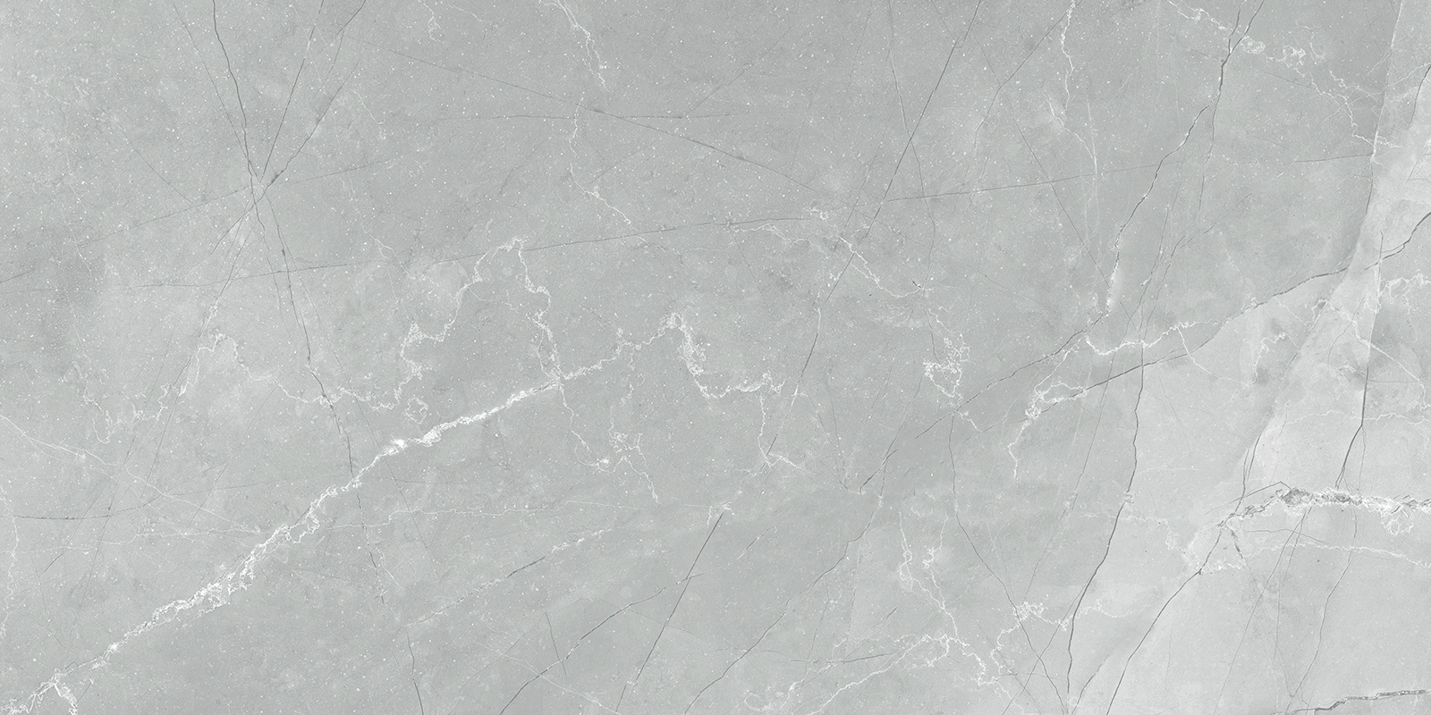60120AMB15P Armani Marble Gray 60x120 LCM