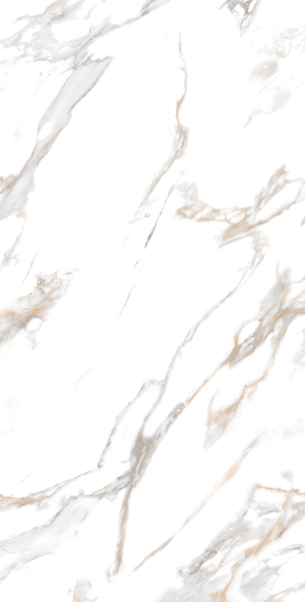 CR4019-A Calacatta Gold Carving 60x120 Arcadia Ceramica