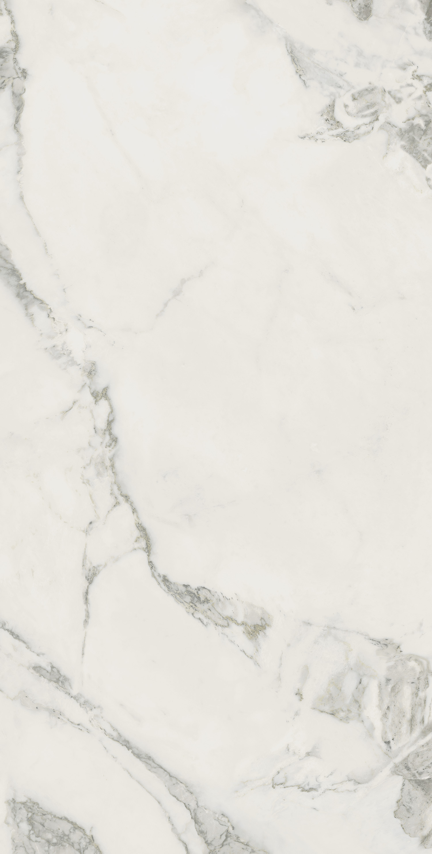 610010002746 Микеланджело Колд 60x120 ColiseumGres