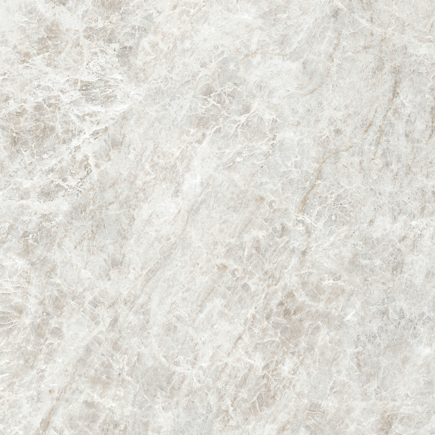 784549 Iconic Life Rice Yamuna Glossy 60x60 Cerim фото 19