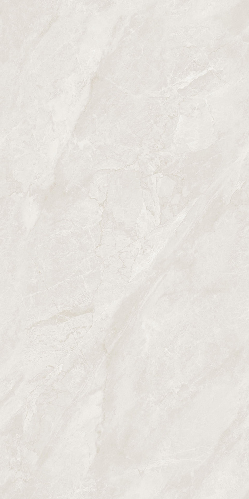 BHW-0018 Precious Stone Polished (Sinking Ink) 600x1200x8 Basconi Home