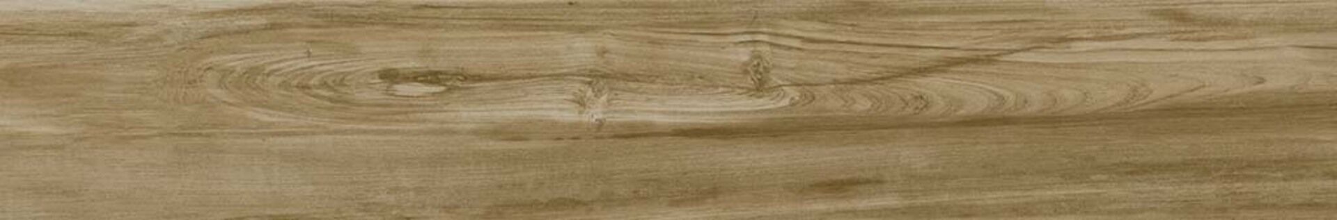 Alessandria Camel 19.5x120x0.9 Prissmacer фото 14