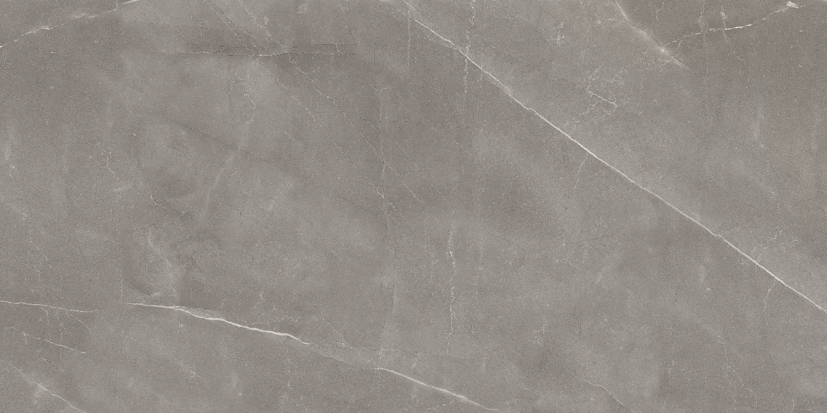 Armani Gris Glossy 60x120 Art Ceramic