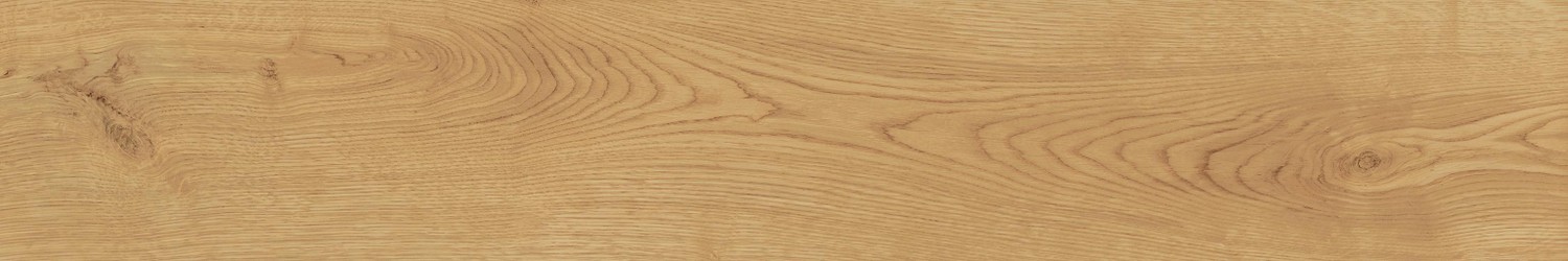 AO48 Exence Almond 20x120 Atlas Concorde