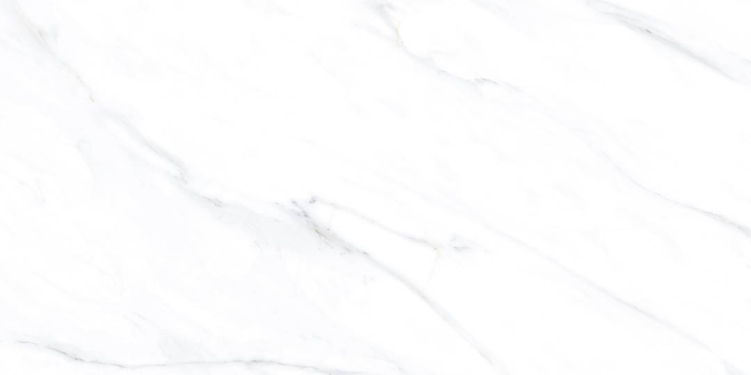 LC201 Palido Grey Lapato Carving 60x120 PrimaVera