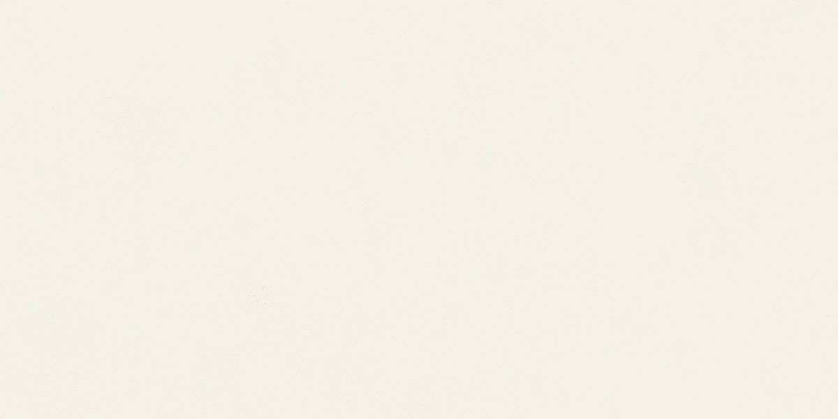 N12041 Blossom Pure Matt 60x120 Neodom