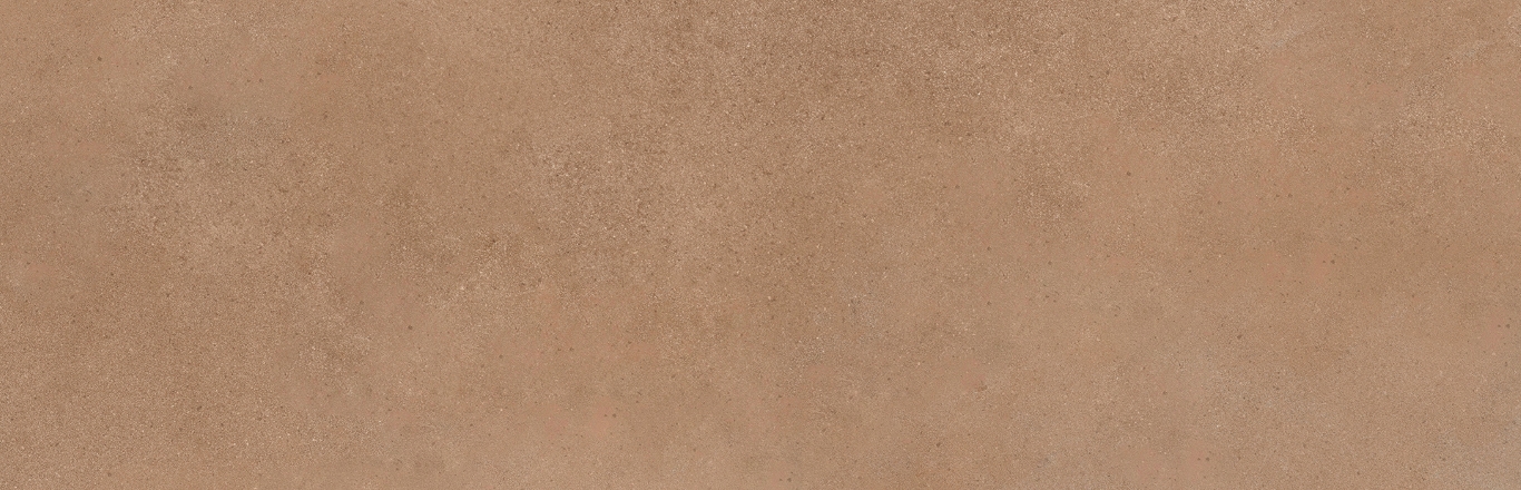 Mediterranea Coral R 31,5x100 Undefasa