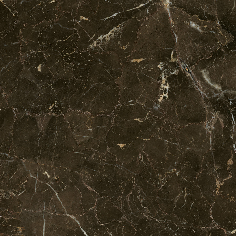 Anima Dark Emperador Rett Lucidato 60*60 Caesar