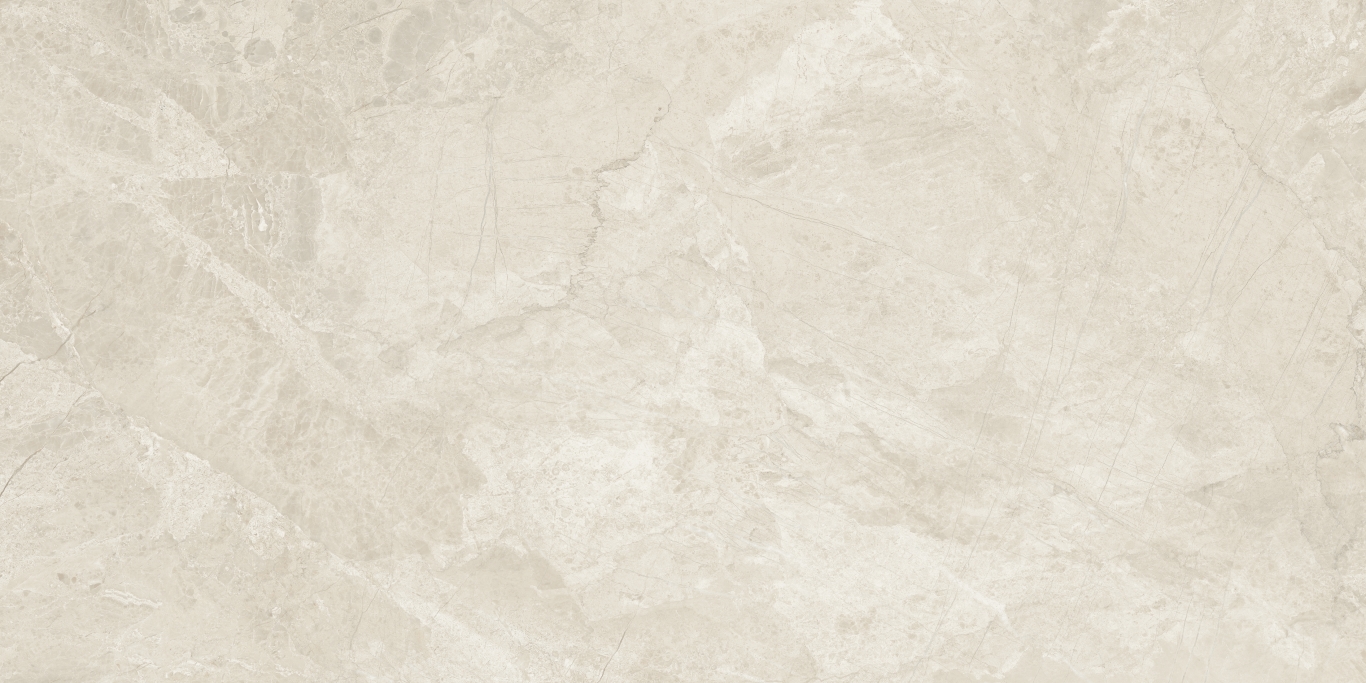 Canyon Bone Rect 60x120 Baldocer