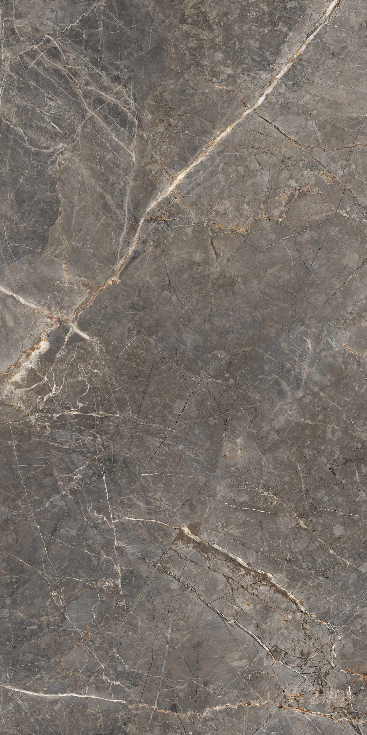 GT1206023109MGR Salsa Темно-серый 60x120 Global Tile фото 3