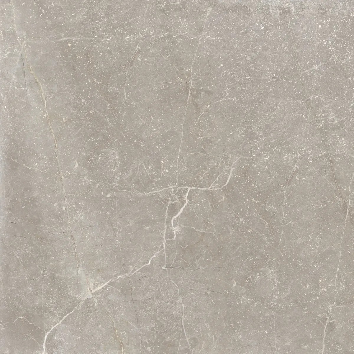 Bleuemix Taupe Soft 90x90 Keraben