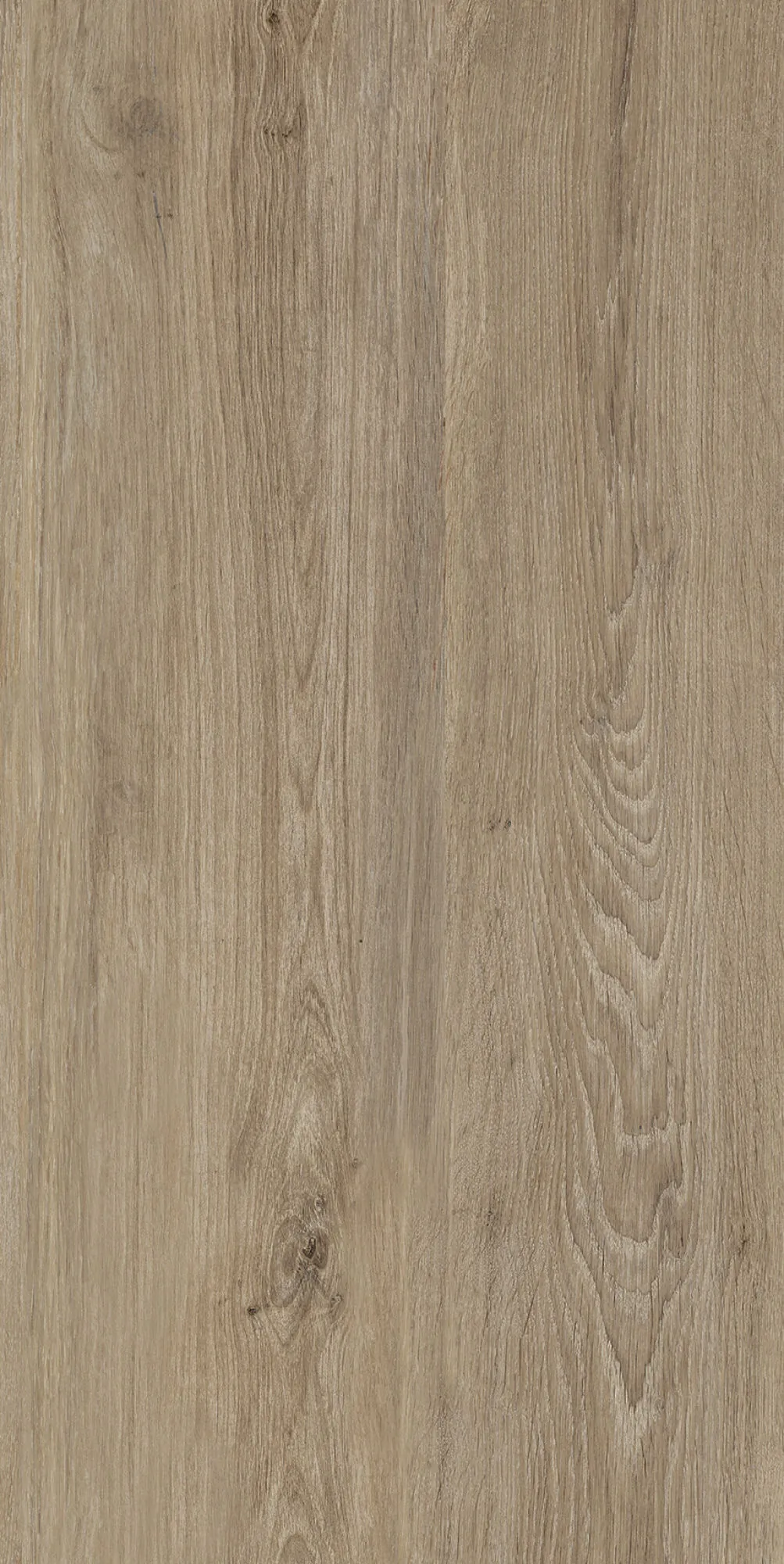 40683 Verbier Honey 4D/50X100X2/A/R 50x100 Peronda фото 8