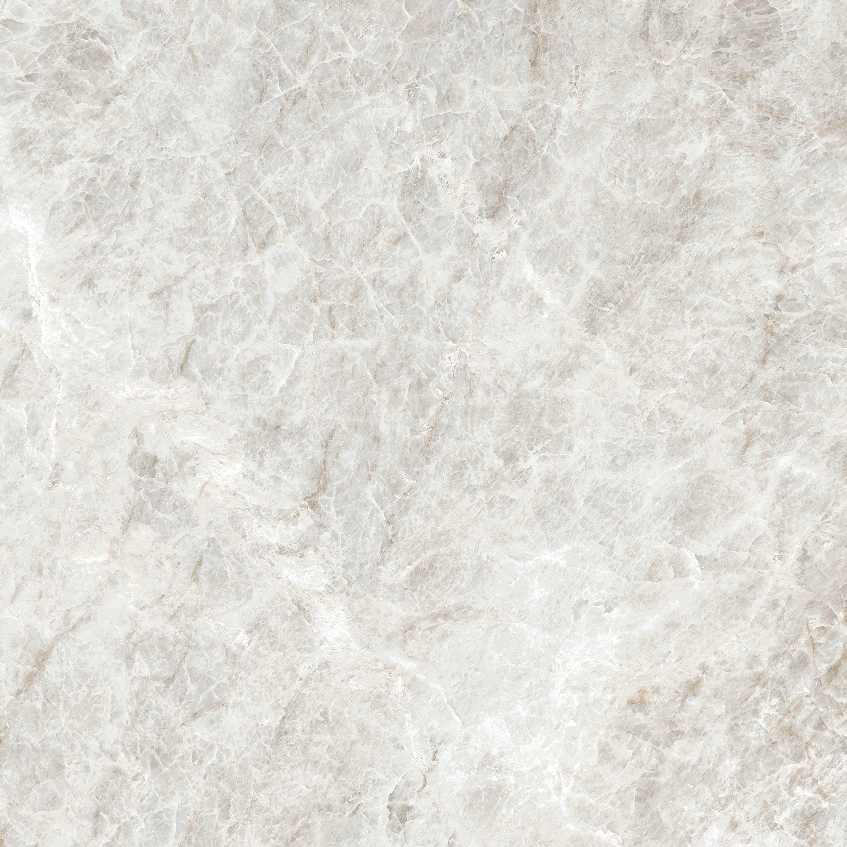 784524 Iconic Life Rice Yamuna Matte 60x60 Cerim фото 11