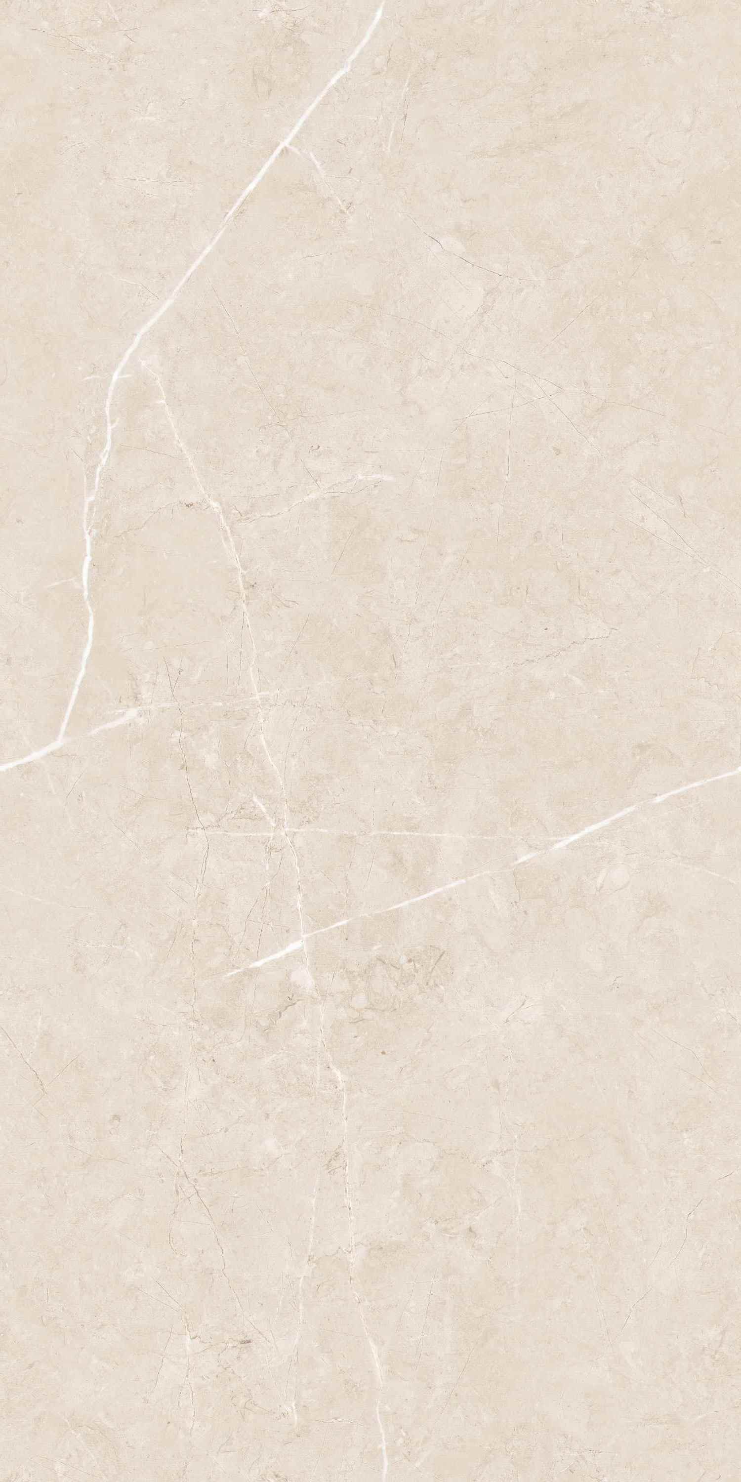 Caspio Ivory Velvet 60x120 BELLEZA