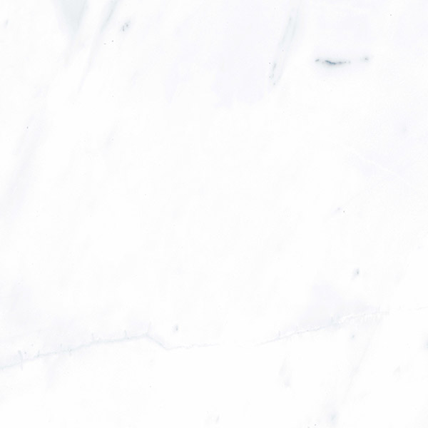 G283PR Payer Grey 60x60 Гранитея фото 8