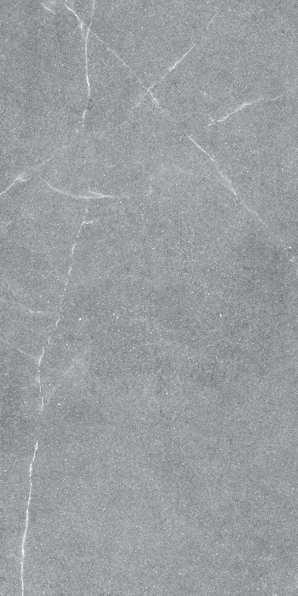 GT1206015401MR Geo Серый 60x120 Global Tile