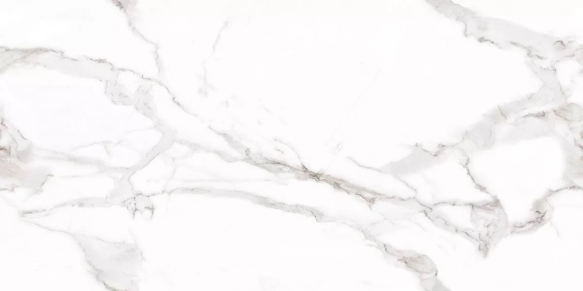 Venato Bianco Glossy 60x120 Art Ceramic
