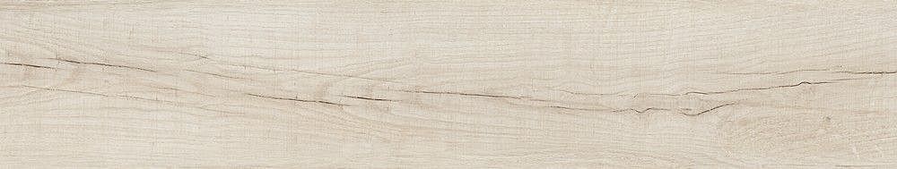 189003 Quercus Betulla 22x120 Dune