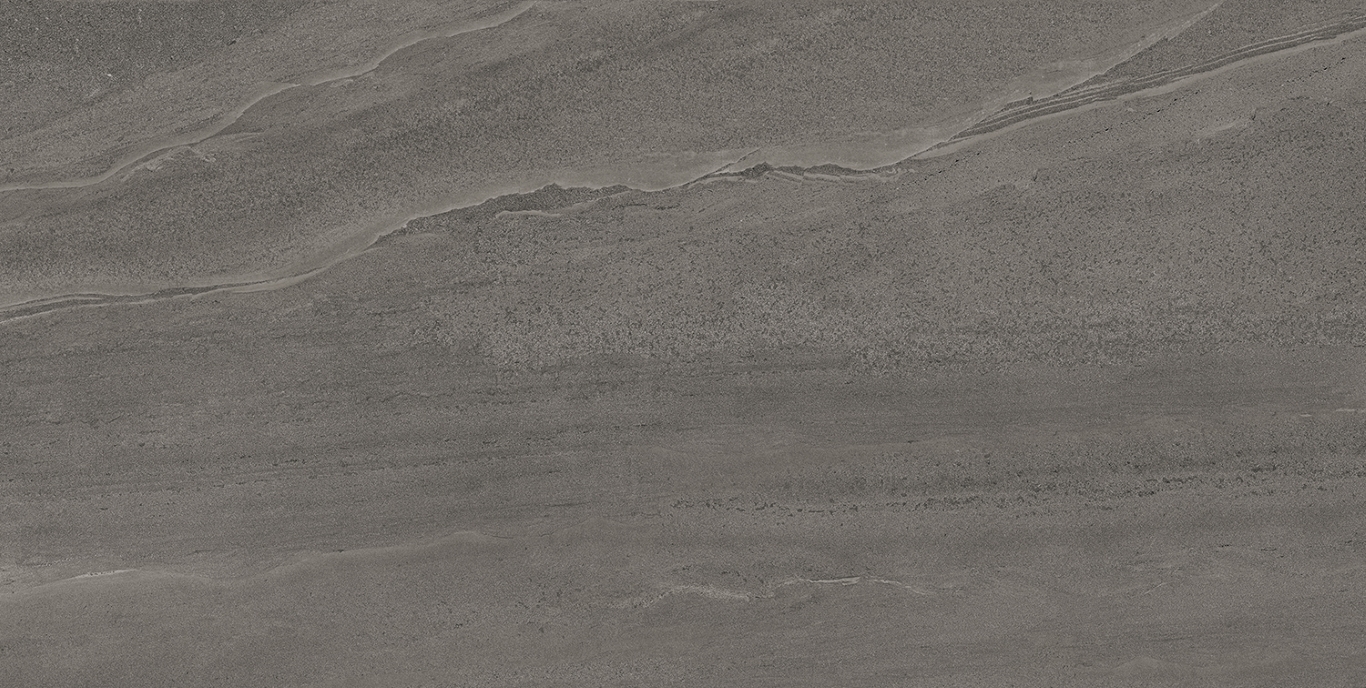 Eddystone Gris Matt 60x120 Geotiles