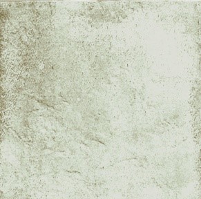 Anticatto Bianco 22,5х22,5 Natucer