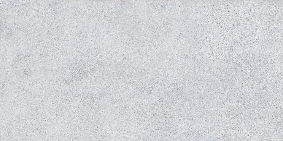 NR207 Maderas Light Grey 60x120 PrimaVera