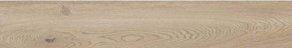 PF60010058 GOLD NAT 20X120 ABK