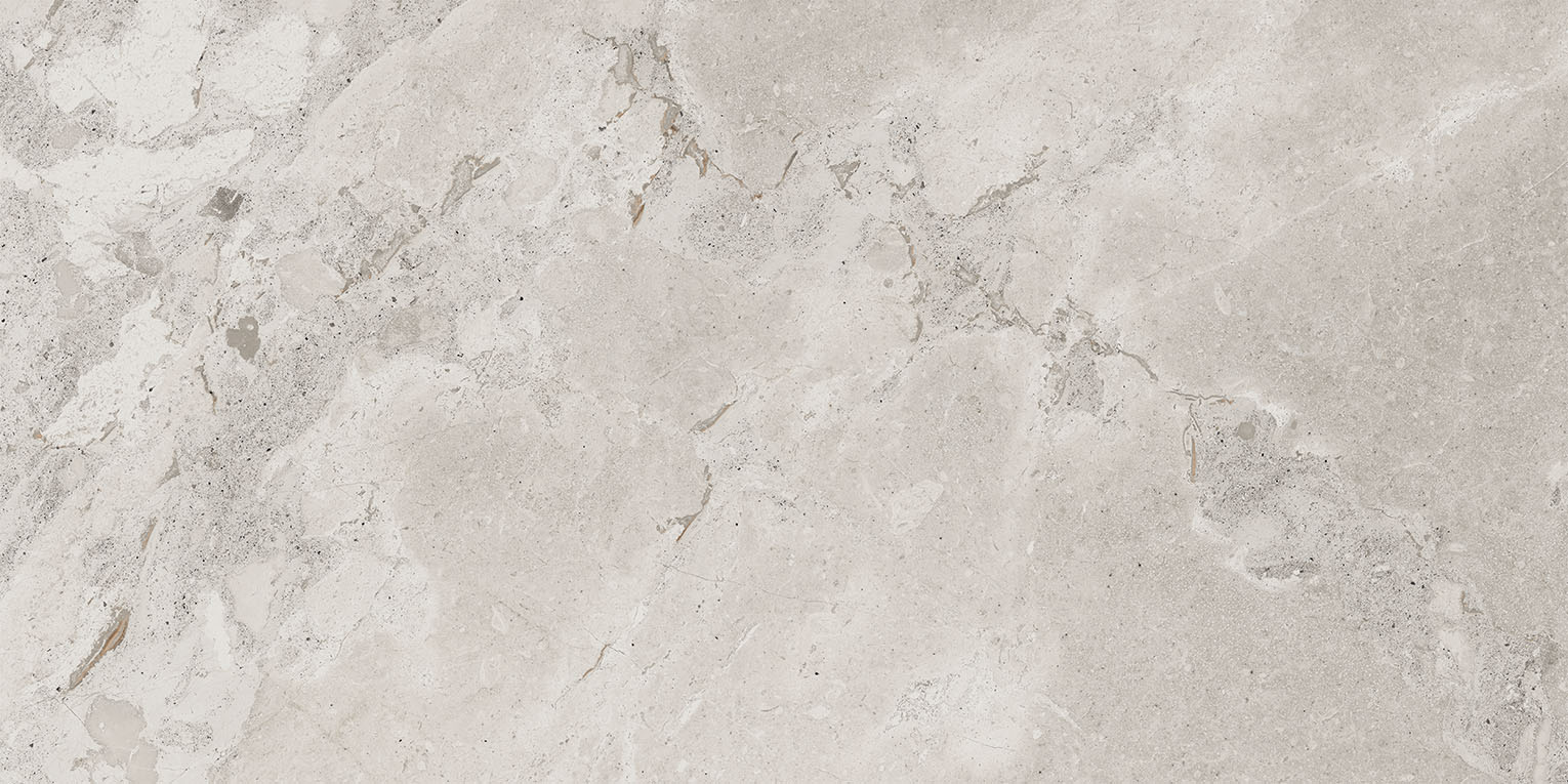 93453 Karnis Silver Matt 60x120 Cerdomus