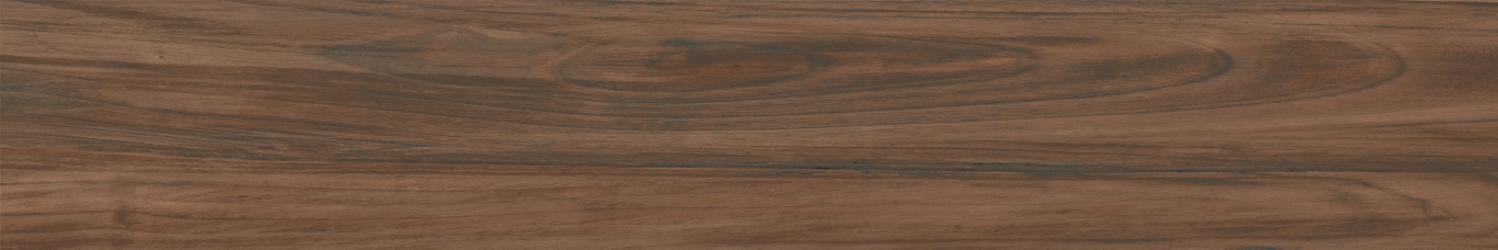 Boutonne Cognac Pulido R 20x120 Baldocer