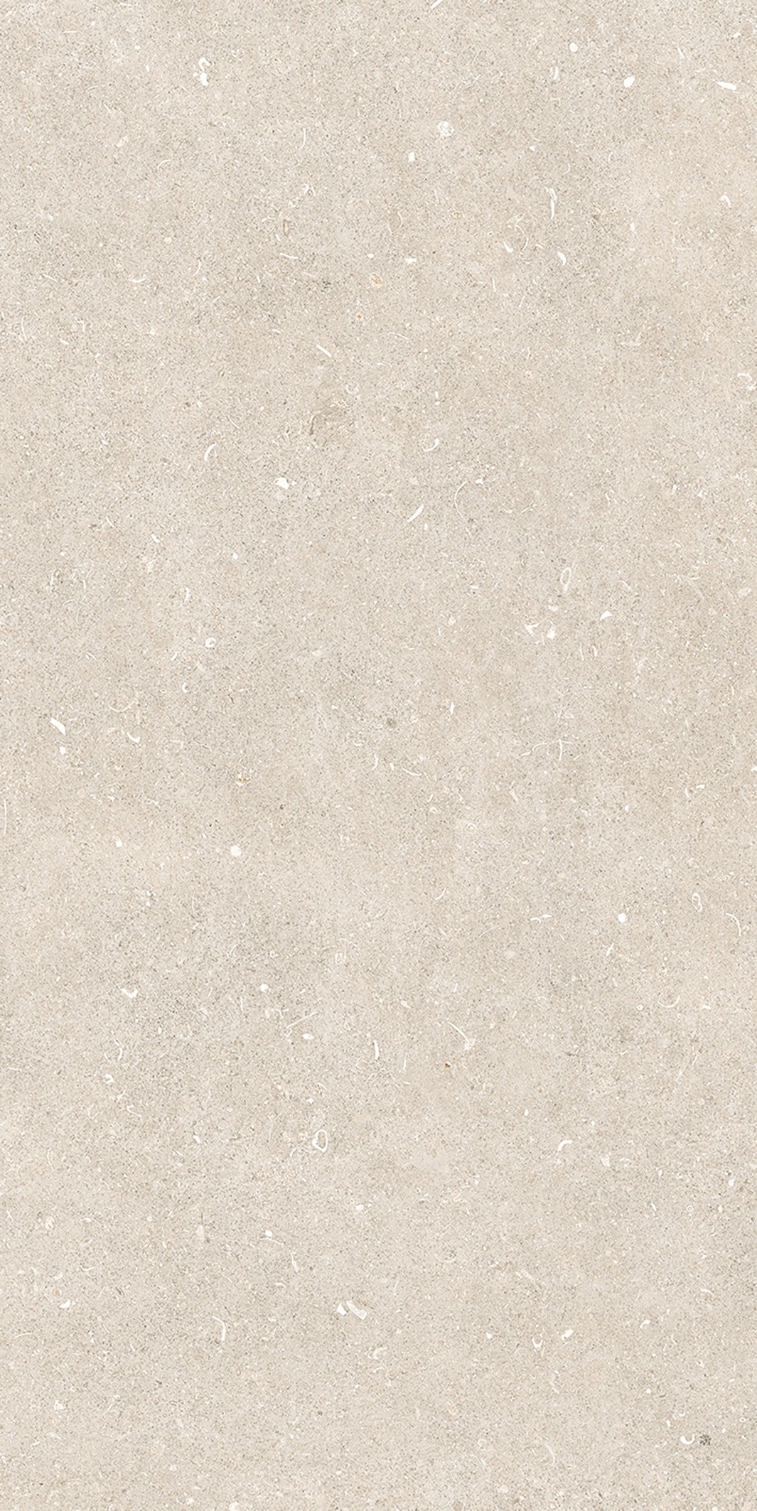 785574 Rinascenza Arena Bianco Antico Matte 6mm 60x120 Casa Dolce Casa фото 10